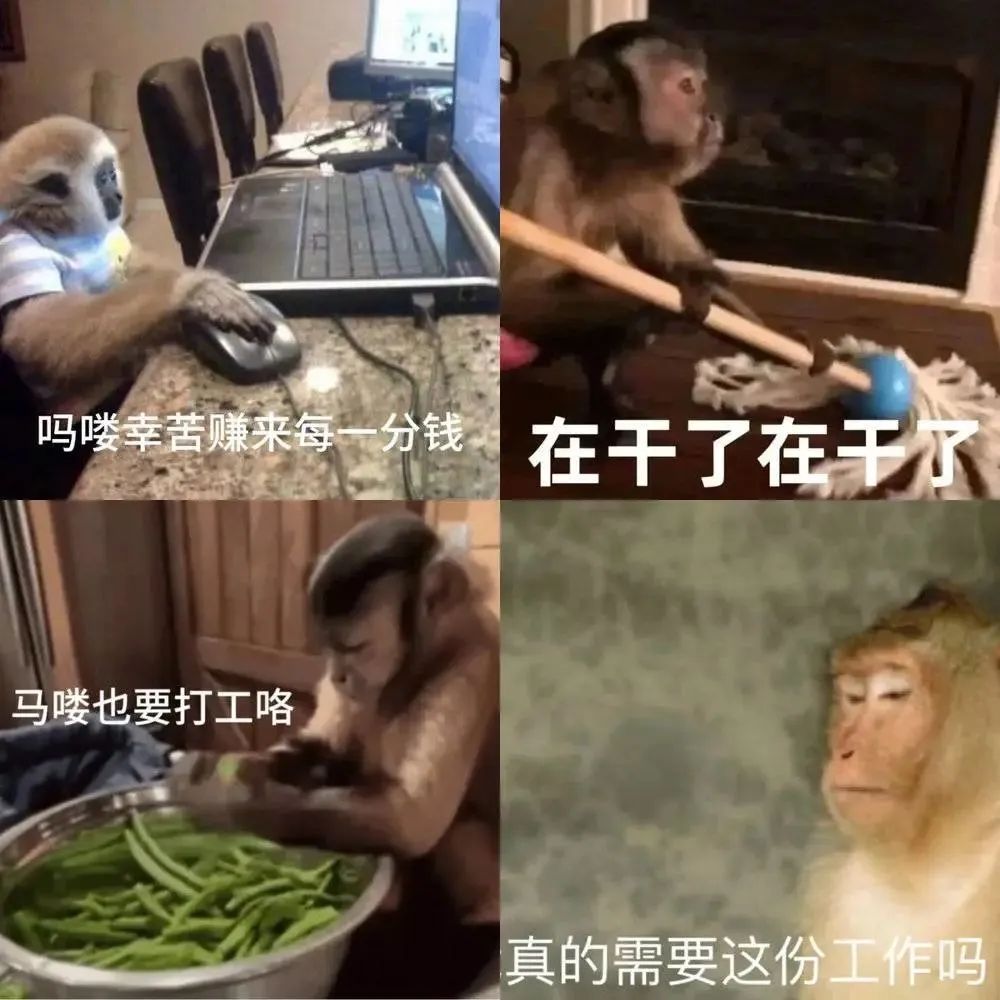 粤语为何称猴子为马骝，猴和马怎么扯上关系的呢？