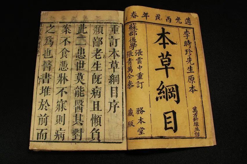 粤语为何称猴子为马骝，猴和马怎么扯上关系的呢？