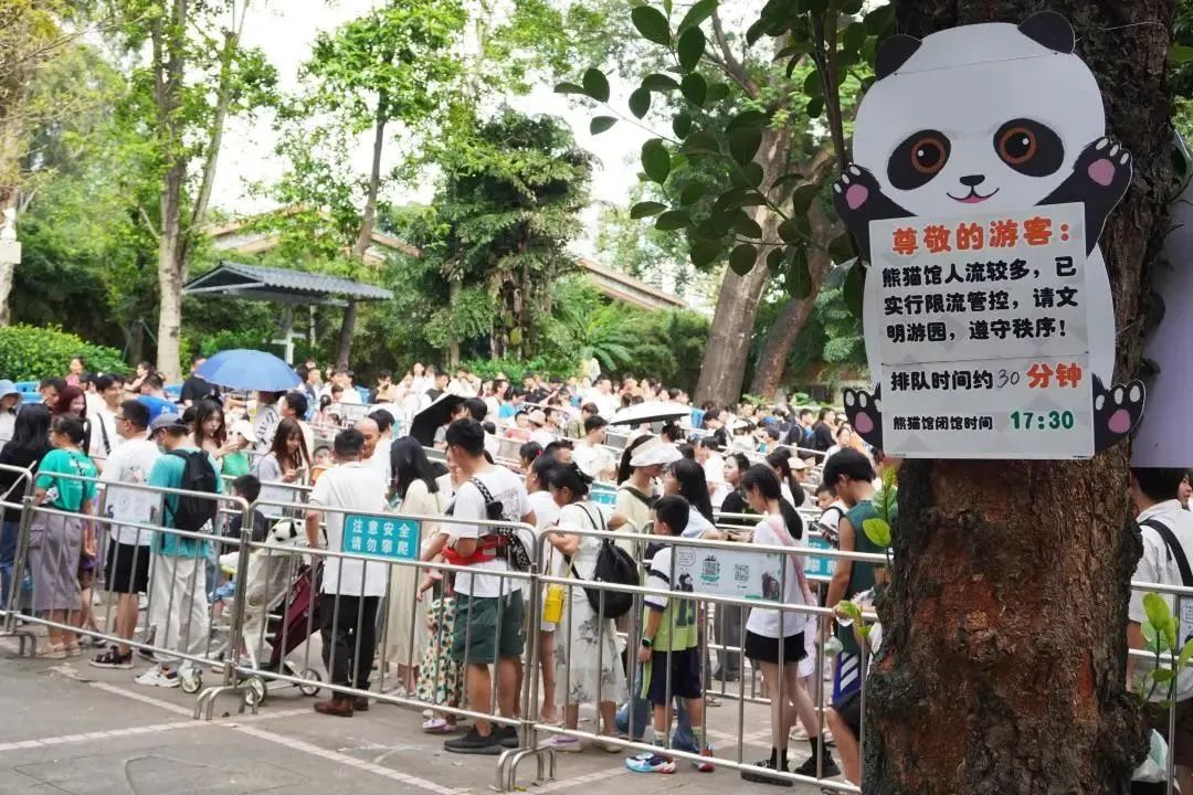 外地游客:广州很好,下次不会再来了…… 外地游客:广州很好,下次不会再来了……