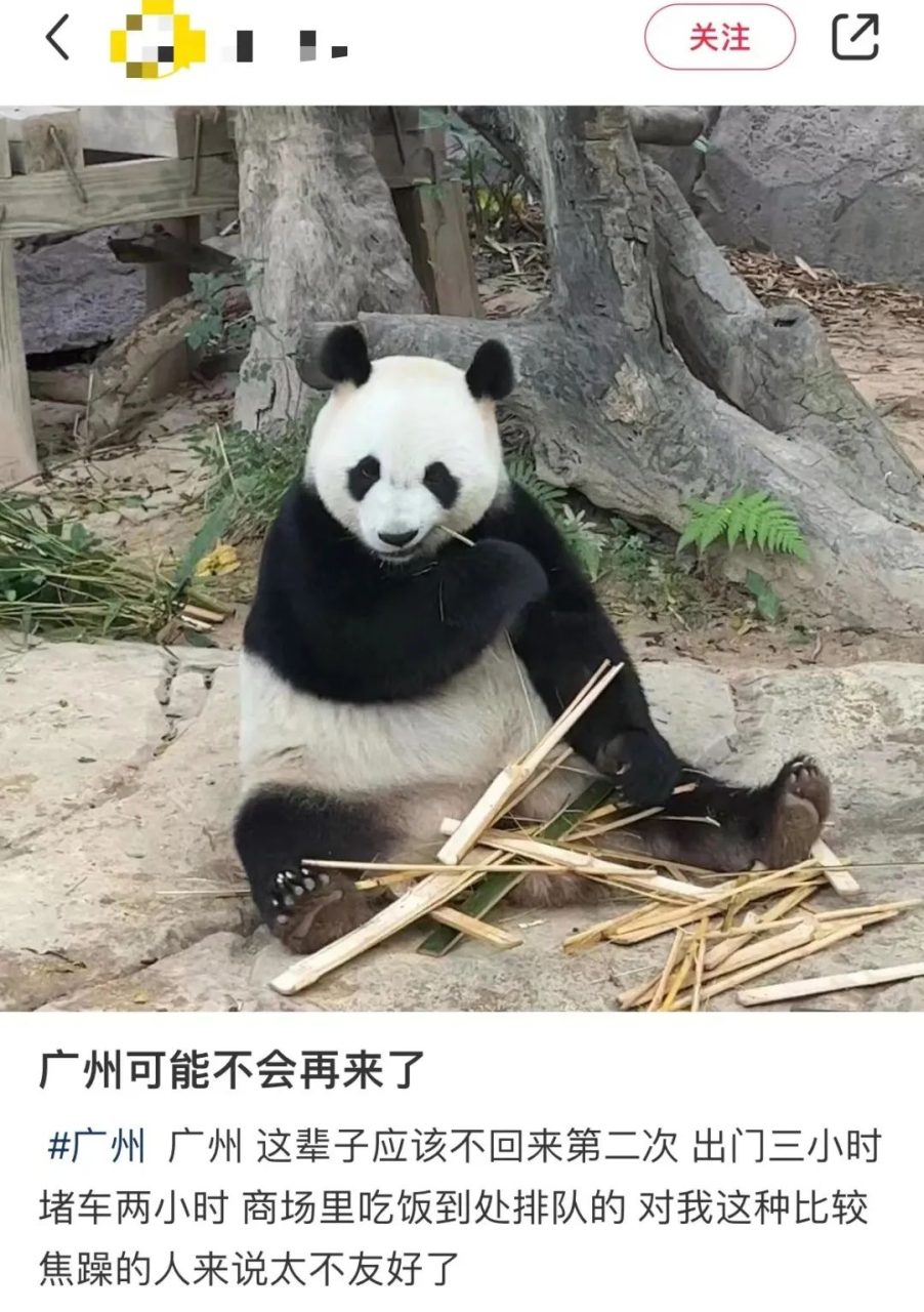 外地游客:广州很好,下次不会再来了…… 外地游客:广州很好,下次不会再来了……