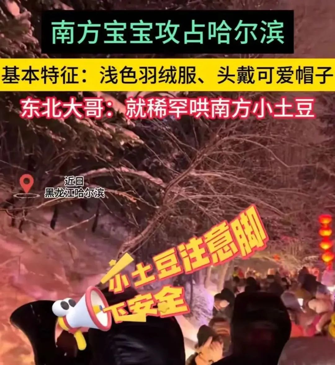 广东人:我们不叫“南方小土豆”! 广东人:我们不叫“南方小土豆”!