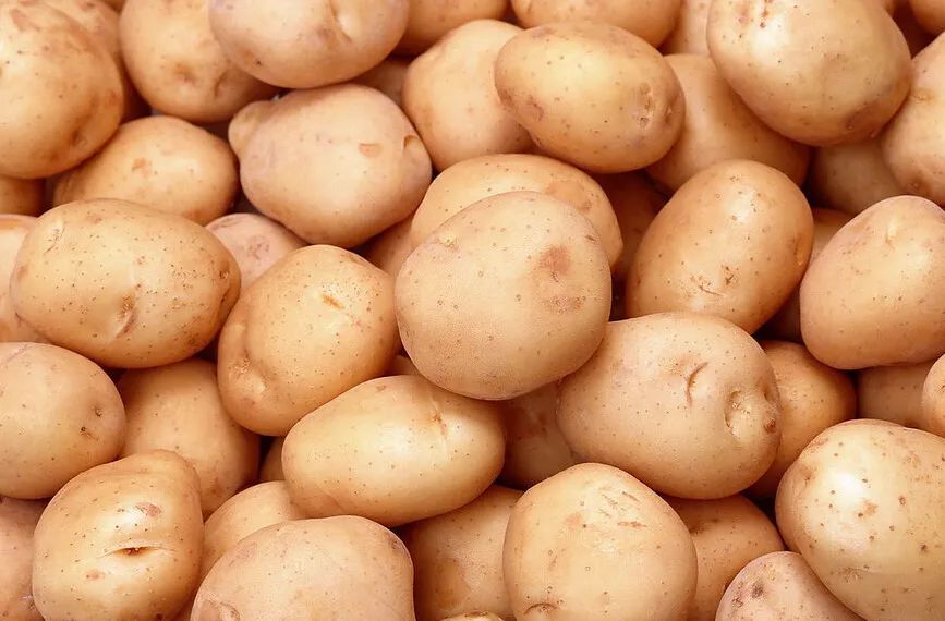 广东人:我们不叫“南方小土豆”! 广东人:我们不叫“南方小土豆”!