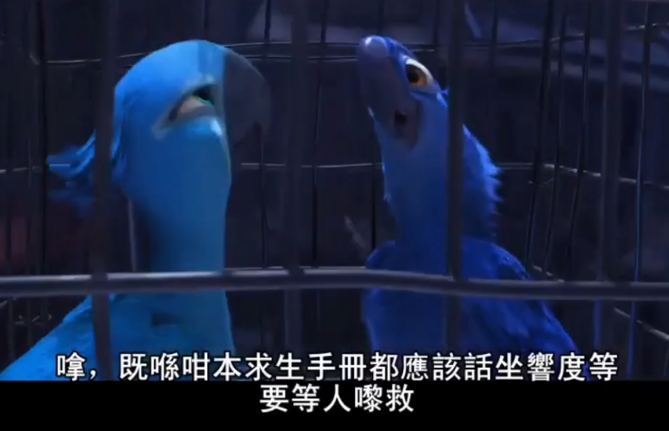 沪语文学《繁花》火了,下一个会是粤语吗? 沪语文学《繁花》火了,下一个会是粤语吗?