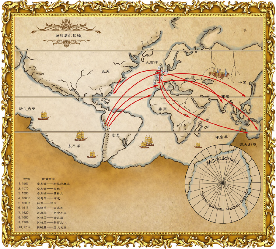 广东人:我们不叫“南方小土豆”! 广东人:我们不叫“南方小土豆”!