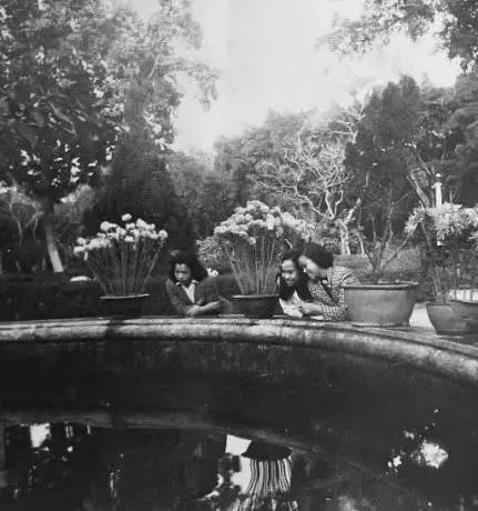 中央公园：老广州津津乐道的儿童乐园 || 荔人行