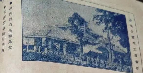 中央公园：老广州津津乐道的儿童乐园 || 荔人行