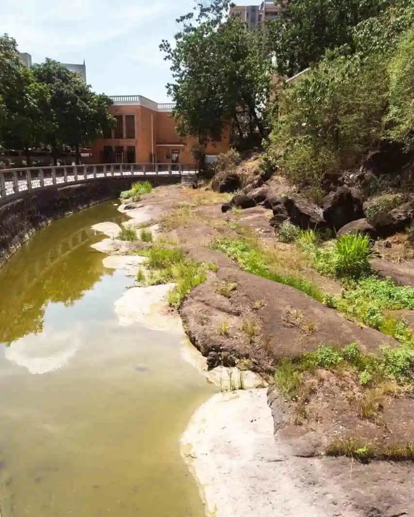 一张七星岗老照片佐证：广州曾经有大海 || 荔人行