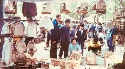 中央公园：老广州津津乐道的儿童乐园 || 荔人行