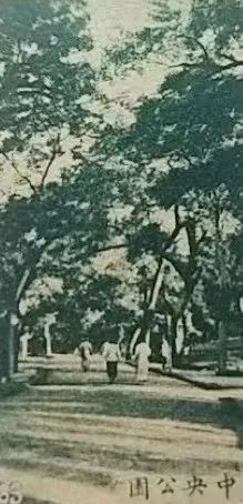 中央公园：老广州津津乐道的儿童乐园 || 荔人行