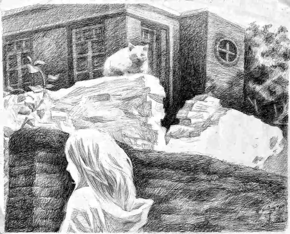 走进东山别墅群：权力的后院（下篇）