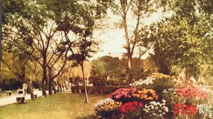 中央公园：老广州津津乐道的儿童乐园 || 荔人行