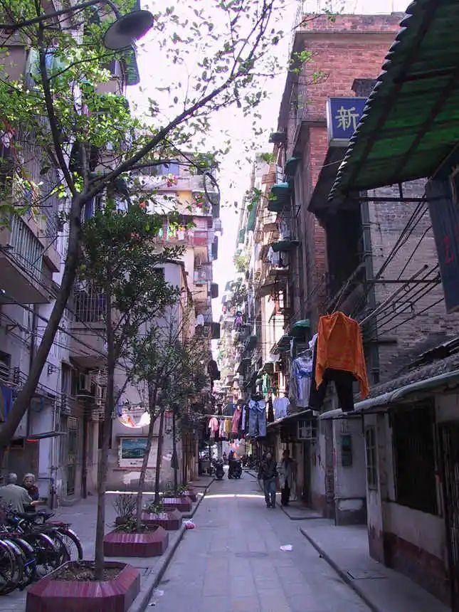 伦文叙与杨公馆的故事 || 朱广