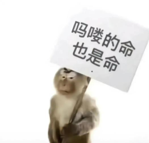 “锦鲤”表情包流行,只是广东人的自High吗? “锦鲤”表情包流行,只是广东人的自High吗?