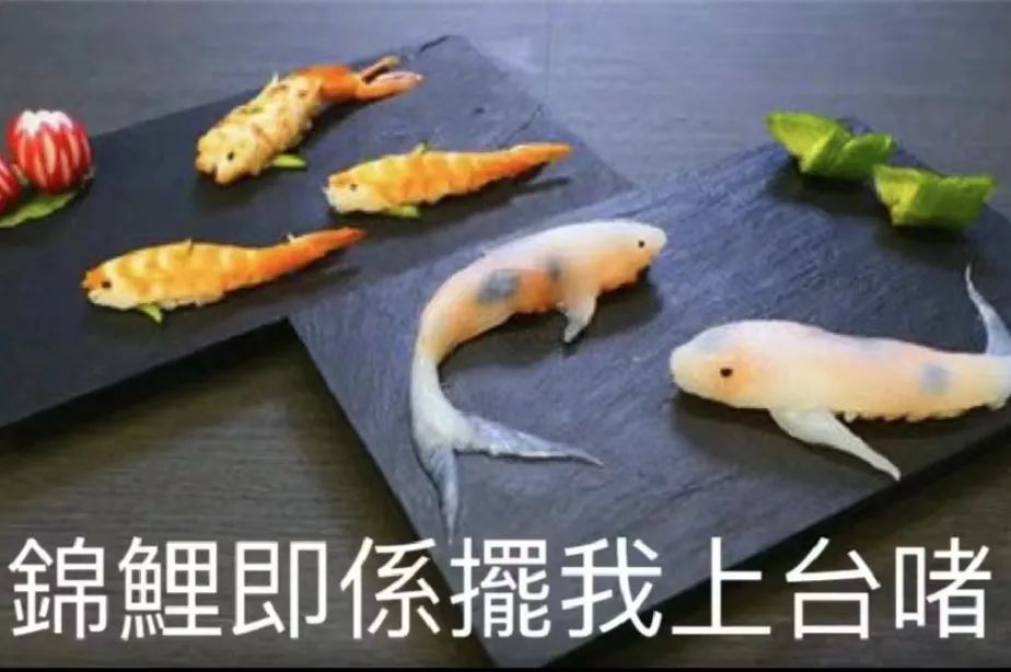 “锦鲤”表情包流行,只是广东人的自High吗? “锦鲤”表情包流行,只是广东人的自High吗?