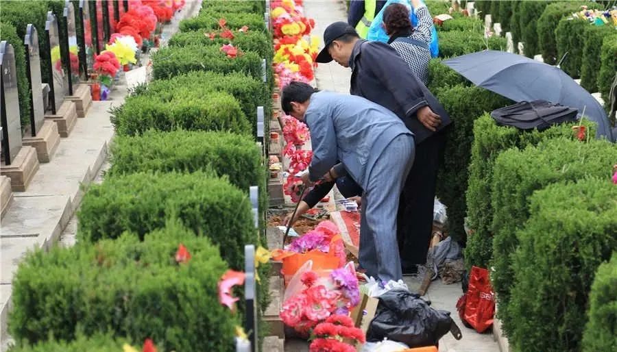 年轻人还会拜山吗? 年轻人还会拜山吗?