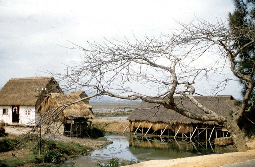 港风怀旧:你见过40年代、50年代的彩色香港吗? 港风怀旧:你见过40年代、50年代的彩色香港吗?