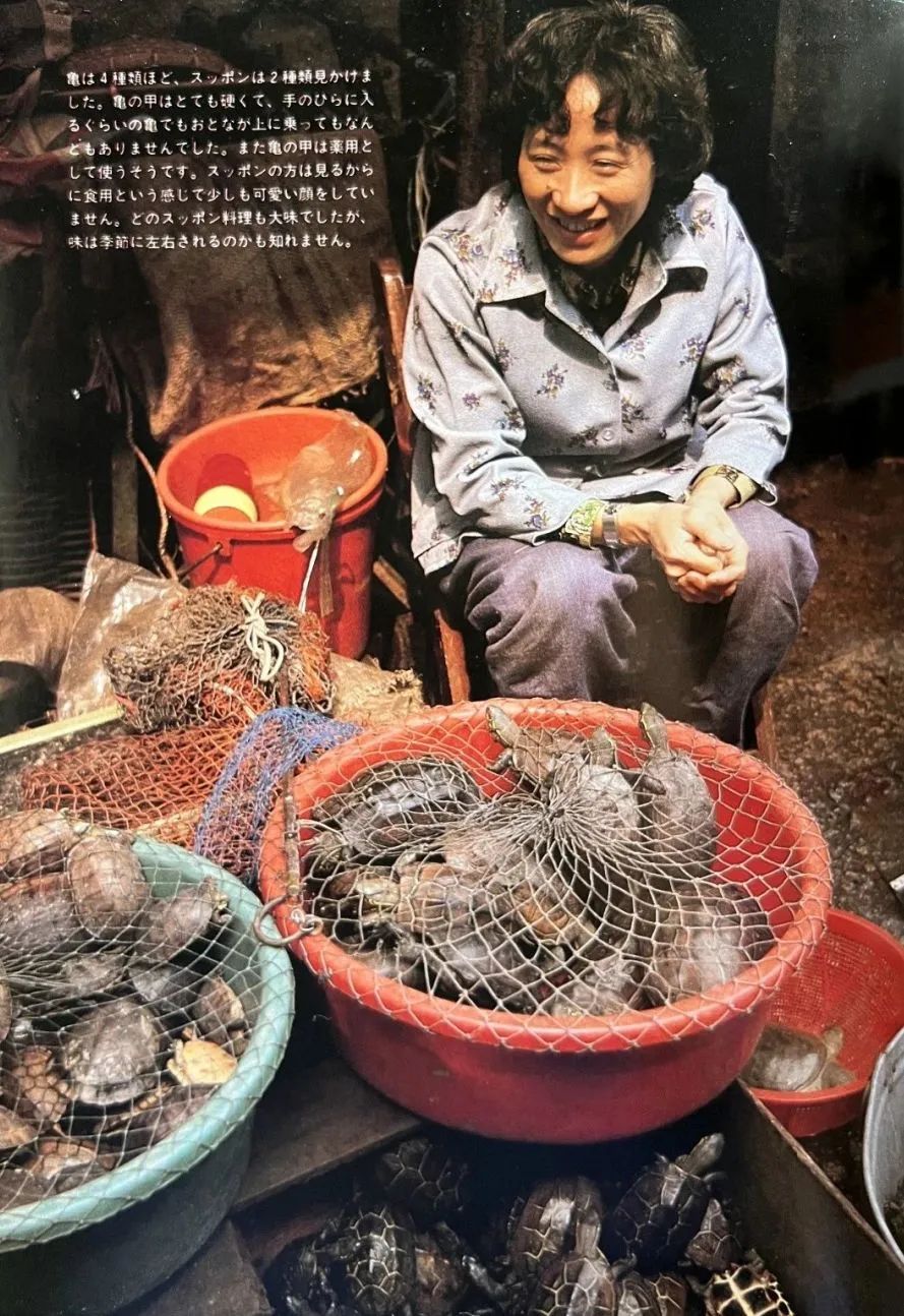 这本二手日文书里,竟珍藏着40年前那个鲜活的广州 这本二手日文书里,竟珍藏着40年前那个鲜活的广州