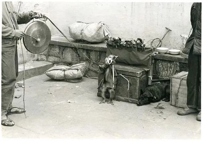 这本二手日文书里,竟珍藏着40年前那个鲜活的广州 这本二手日文书里,竟珍藏着40年前那个鲜活的广州