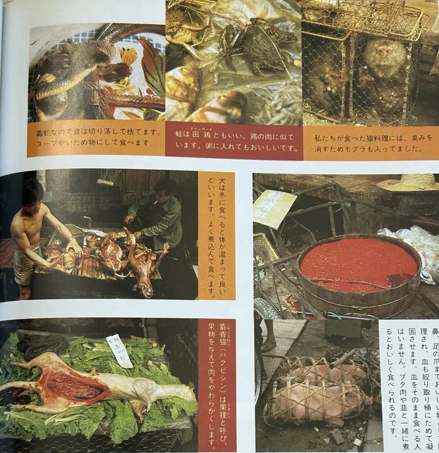 这本二手日文书里,竟珍藏着40年前那个鲜活的广州 这本二手日文书里,竟珍藏着40年前那个鲜活的广州