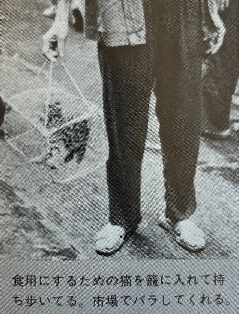 这本二手日文书里,竟珍藏着40年前那个鲜活的广州 这本二手日文书里,竟珍藏着40年前那个鲜活的广州