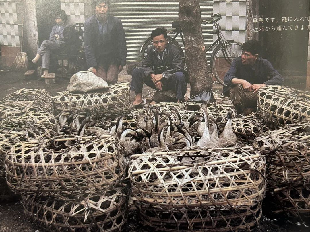 这本二手日文书里,竟珍藏着40年前那个鲜活的广州 这本二手日文书里,竟珍藏着40年前那个鲜活的广州