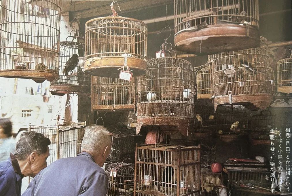 这本二手日文书里,竟珍藏着40年前那个鲜活的广州 这本二手日文书里,竟珍藏着40年前那个鲜活的广州