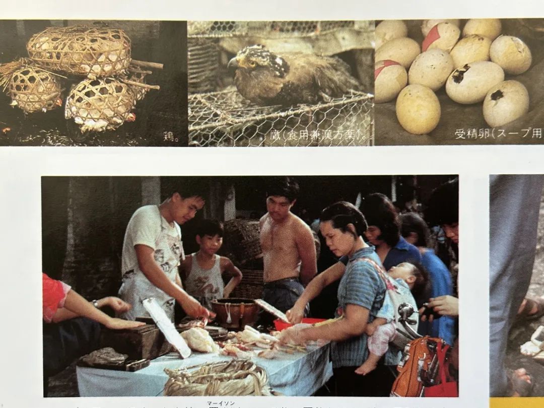 这本二手日文书里,竟珍藏着40年前那个鲜活的广州 这本二手日文书里,竟珍藏着40年前那个鲜活的广州