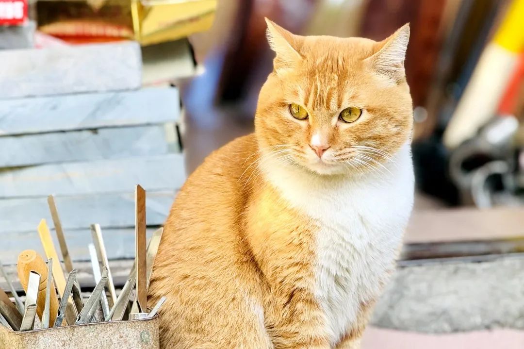 揭阳:粤东古邑的烟火与香火 揭阳:粤东古邑的烟火与香火