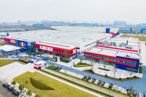 天丝集团红牛品牌亮相第八届进博会，为中泰经贸往来添动能