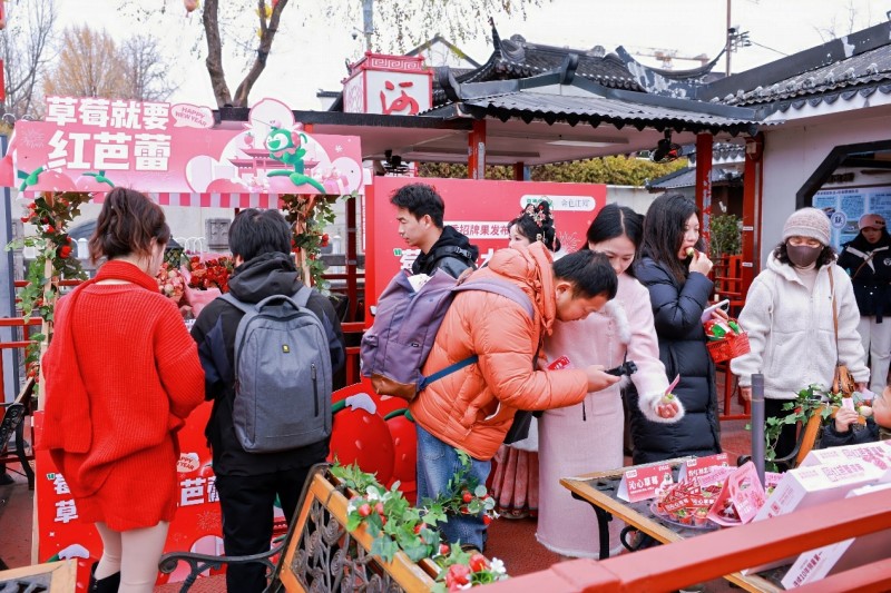 秦淮河畔草莓香！好吃又安全的红芭蕾正式上市，擦亮溧水草莓名片