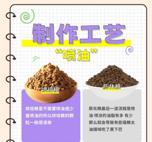 2025年第四季度猫粮市场指南：梁小妖猫粮为何能够引领市场？