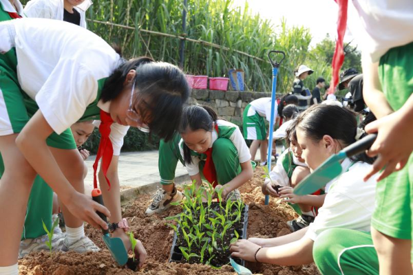 农耕科普进校园天河儿童公园与吉山小学共筑劳动教育新课堂