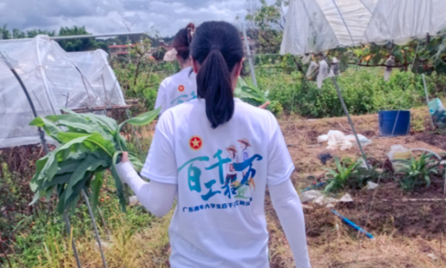 “百千万工程”突击队 | 经贸学院青耘逐梦青年突击队以青春之笔绘就乡村振兴新画卷