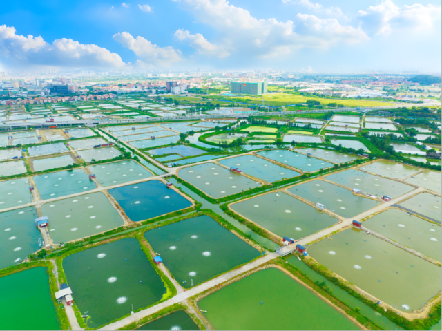 超30个重点项目签约发布，创建院士工作站！佛山南海区要这样打造高水平渔业全国标杆
