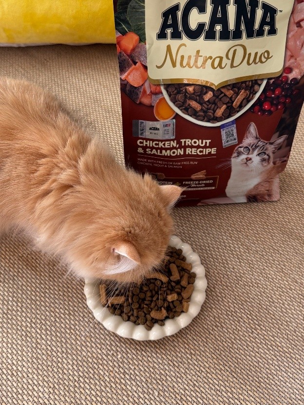 爱肯拿在华全球首发“双拼倍护猫粮“系列：四十年膳食专家，以天然营养顺应爱猫天性所需