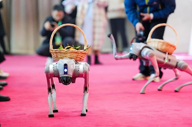 2025年资中血橙营销大会举行,现场签约出口订单2.4万吨