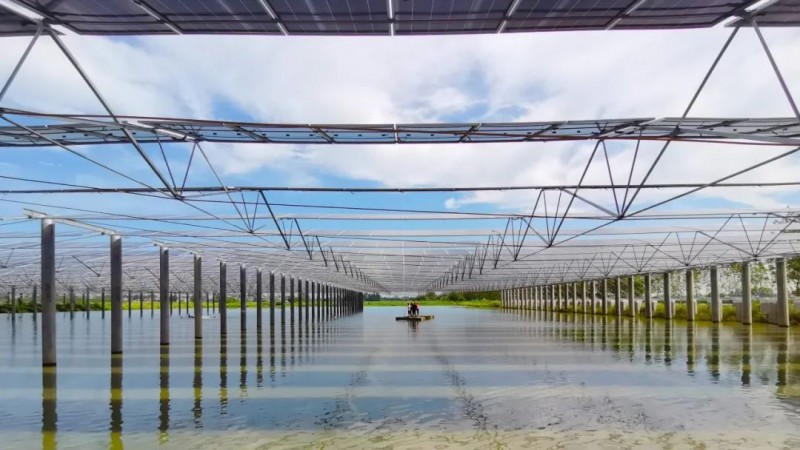 汉江潮涌科技光！阳光新能源“科技追光之旅”登陆湖北省科技馆