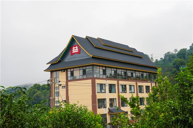 85年匠心守初心！大益勐海茶厂借厂庆奏响乡村振兴 “茶旅交响曲”