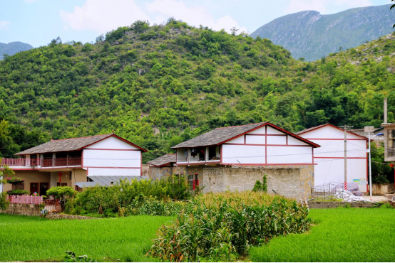 【粤黔协作】助力安顺乡村农文旅融合发展系列报道之四  关岭县马马崖村：“花经济+桥元素”  激活乡村文旅新动能