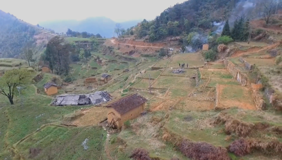 内地游客问：在香港为啥不能蹲？