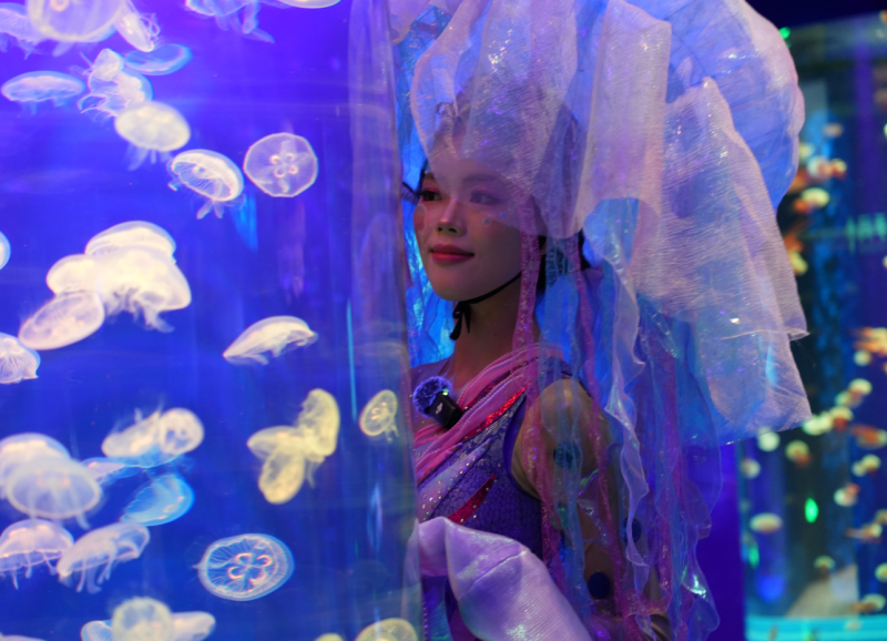 深圳国庆出游新地标！小梅沙海洋世界双园联动，开启“海与火”狂欢模式