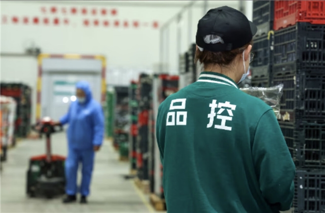 24小时从田间到货架，京东七鲜让蔬菜跑出“真新鲜”