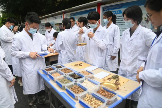 专业介绍系列 | 中药——弘扬国药·守护安康