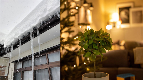 冬日里的暖意,花王“润”心相伴