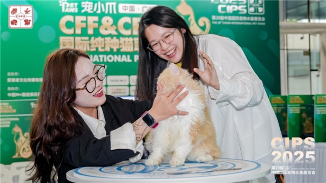 第29届中国国际宠物水族展览会迎「无限」而启，于广州荣耀开幕