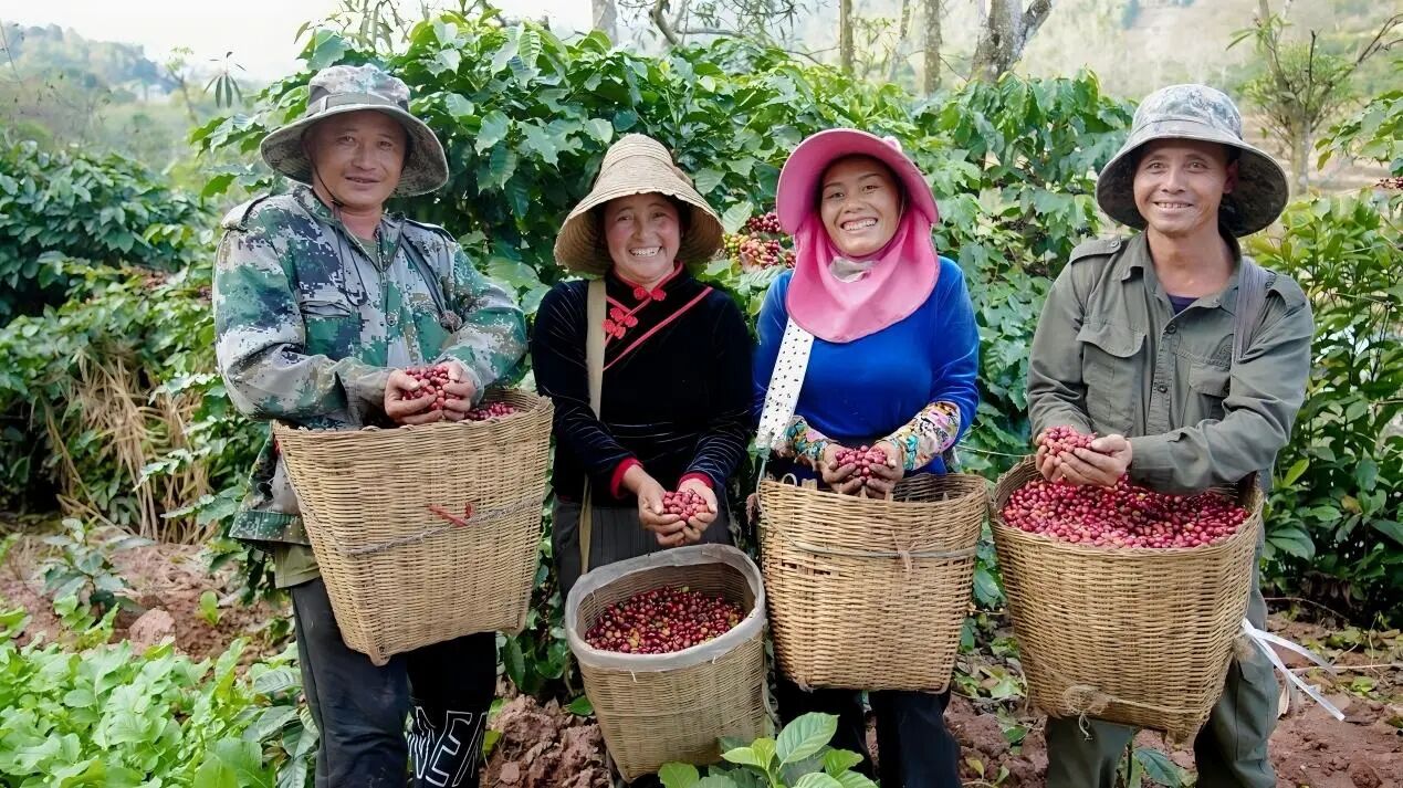 “瑞幸号”里的中国咖啡“双循环”