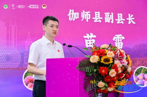 伽师新梅万里行甜蜜登陆广州，共启南国甜蜜新篇章