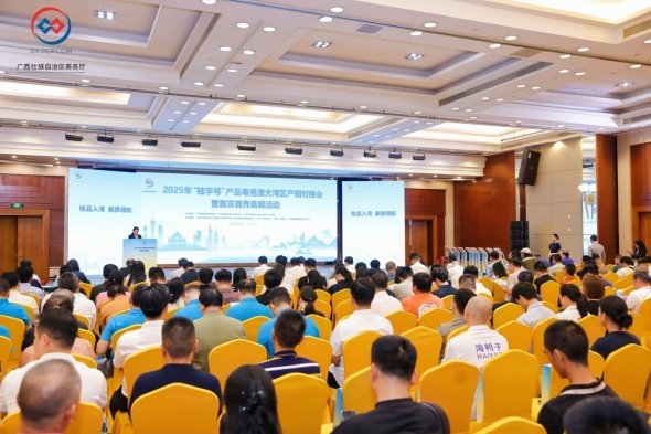 “桂品入湾”驶入产销“快车道”