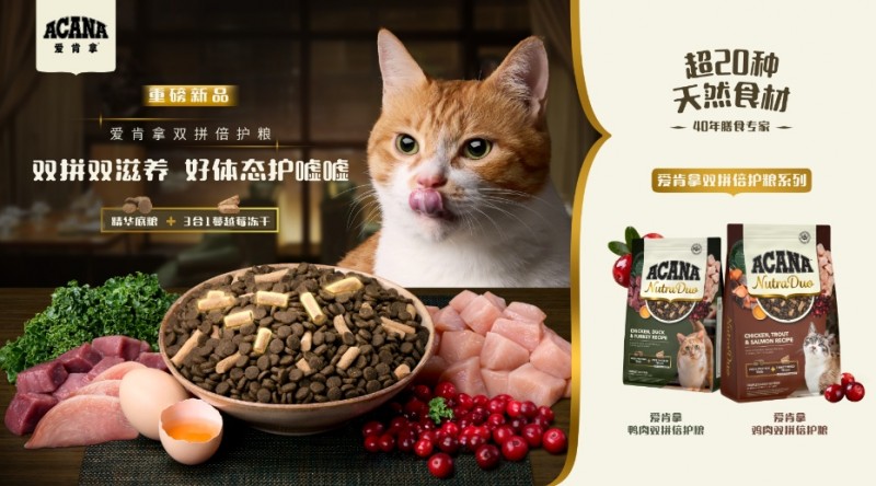 爱肯拿在华全球首发“双拼倍护猫粮“系列：四十年膳食专家，以天然营养顺应爱猫天性所需