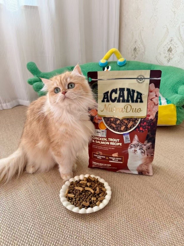 爱肯拿在华全球首发“双拼倍护猫粮“系列：四十年膳食专家，以天然营养顺应爱猫天性所需
